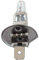 Nivelliermasse Halogenlampe Birne H1 12V Scheinwerfer 2 Stück 5000K Das helle Licht 55W Autogas Autolicht Tuning C (正白Pure White #3, One Size)