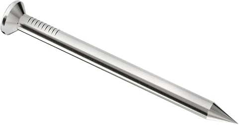 2.4mm x 60mm (Pack of 100) Long Multi Purpose Steel Zinc Nails Bright Finish Hardware Wire Common Brad and Picture Hanging Nails