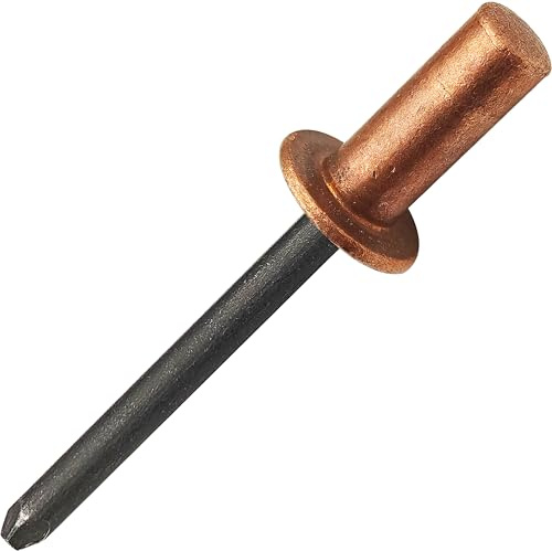Rivetti ciechi con estremità chiusa, 30 pezzi, Ø4,8 x 16 mm, testa a cupola in rame con mandrino in acciaio, rivetti pop sigillati