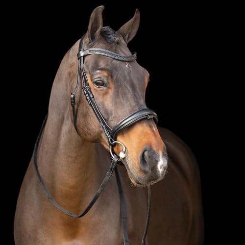 Imperial Riding Zaumzeug IRH mit englischem Reithalfter, Strass-Stirnband und gepolstertem Genickstück, Leder, Schwarz-Schwarz, Shetty