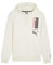 PUMA Herren Handball Hoodie Sweat