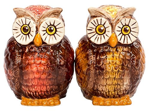 Pacific Trading Ceramic Salt & Pepper Shakers Set - OWLS New - Hand Painted Kitchen Gifts 9481