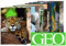 10er-Set: Postkarten A6 +++ MIX SET Nr. 2 von modern times +++ 10 tierische GEO-Motive +++ perfekt für POSTCROSSING +++ ohne deutschen Text!