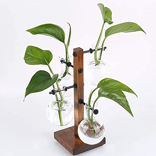YXSH Hydroponische Pflanzenvasen Transparente Vase Holzrahmen Desktop Glas Übertopf Für Hydroponik Pflanzen Coffee Shop Room Decor