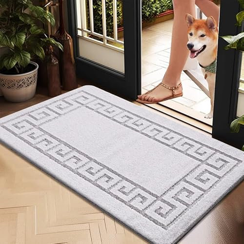 Cozy Haven Gel Backed Classic Door Mat – Non-Slip Washable Doormat, Heavy Duty Welcome Dirt Trapper, Water Absorbent Floor Mat for Indoor/Outdoor Use, Front Entrance, and Kitchen (Silver, 50x80 cm)