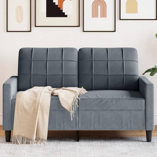 Emmtore Sofa 2-Sitzer, Polstersofa Doppelsofa für Wohnzimmer, Couch Loungesofa Metallgestell, Zweisitzer Samtsofa Sitzmöbel, Modern,Samt, Dunkelgrau,120 cm