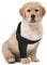 Suitical Recovery Sleeve Hund, XXXS, Schwarz