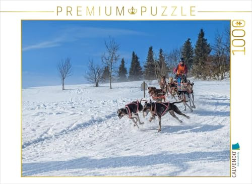 CALVENDO Puzzle EIN Motiv aus dem Kalender Schlittenhundesport | 1000 Teile Lege-Größe 64 x 48 cm Foto-Puzzle für glückliche Stunden