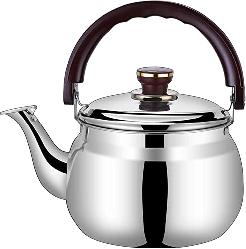 DITUDO Hervidor de té de Teteras de té Que silban Mini Tetera de té Que silba, Mango Anti-escaldado, Tetera de for Estufa Tetera de 2201200416 (Color : Silver, Size : 1L)