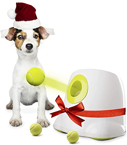BOT Automatischer Ballwerfer für Hunde, inkl. 3Stk Hundebälle. Ballwurfmaschine Hunde für kleine Hunderassen. Interaktives Hundespielzeug für zu Hause und draußen (Ifetch Mini 5cm)