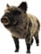HANSA Kuscheltier Wildschwein 28cmH/44cml