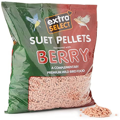 Extra Select Berry High Energy Suet Pellets Wild Bird Food - Protein, Fat Rich Year-Round Feeding - 3 Kg Refill