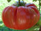 Tomato Red Brandywine - Beefsteak Tomato - 20 Seeds