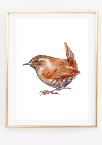 Din A4 Kunstdruck ohne Rahmen - Zaunkönig Vogel Natur Vogelkunde Aquarell Druck Poster Bild