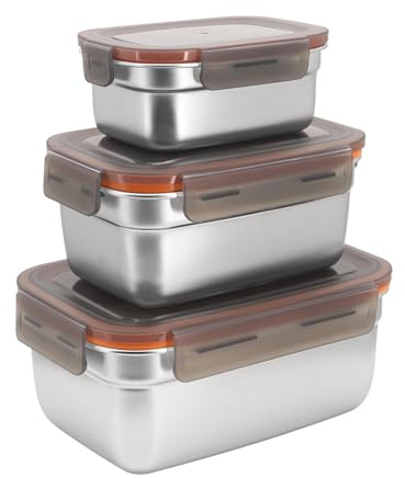 JJoexyfit Contenedores de almacenamiento de alimentos con tapas, recipientes de almacenamiento de acero inoxidable herméticos a prueba de fugas para almacenamiento de restos de alimentos (550 ml +