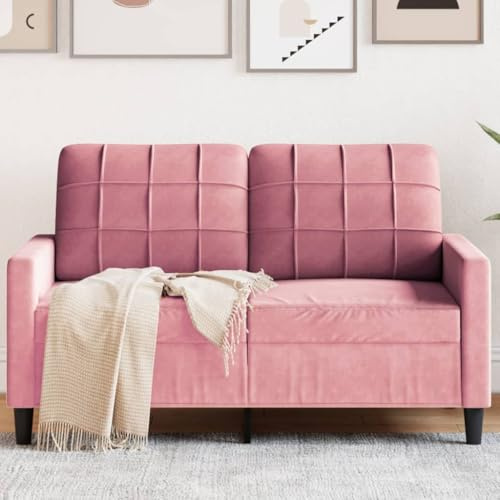 Emmtore Sofa 2-Sitzer, Polstersofa Doppelsofa für Wohnzimmer, Couch Loungesofa Metallgestell, Zweisitzer Samtsofa Sitzmöbel, Modern,Samt, Rosa,120 cm