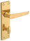 Forge 150mm Backplate Handle Bathroom with Victorian Straight Brass Finish