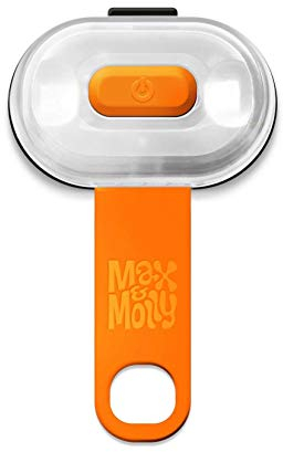 Max Molly | LED Sicherheitslicht für Leine, Geschirr, Halsband, Orange, sehr hell