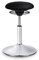 BALIMO Classic - Bewegungshocker - Sitztrainer - ergonomischer Sitzhocker - Hocker mit Schwingeffekt - Rücken-Trainer - Bewegungsstuhl - Bürohocker - Standfuß Silber gebürstet ((Black)