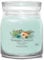 Yankee Candle Aloe & Agave Medium Jar