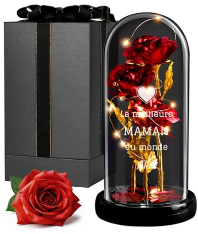 Maverton ewige Rose im Glas mit LED-Beleuchtung - Infinity Rose mit Gravur personalisiert - Geschenke für Frauen zum Valentinstag zu Weihnachten - Geburtstagsgeschenk für Frauen