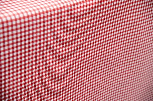 Staab's Stoff wasserabweisend Baumwolle beschichtet verschiedene Dekore (in 50cm Schritten) (Breite 140 cm x Länge wählbar) (Kariert rot weiß)