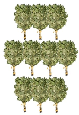 NeSowok 10 St. Birkenbesen für Sauna & Banja – 100 % junge Birkenzweige – Naturduft für Aufguss – weich & formstabil – ca. 250 g – ideal für Saunabetriebe