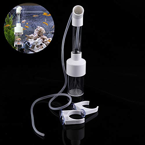 Fischbrut, Fischbrut Inkubator Aquarium Cichlids Egg Tumbler Nursery Mund-Brüten Aquatic Pet