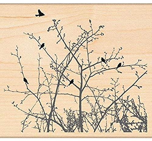 Penny Black Rubber Stamp 4X4.5-Winter Ledge