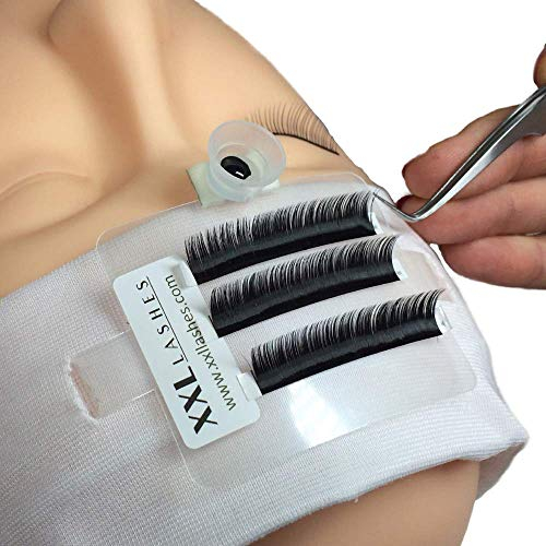 XXL Lashes 5 plateaux à cils frontaux avec bandeau frontal et 5 pots de colle, plateau pour extensions de cils, pots de colle, plateau frontal à cils, bandeau frontal à cils, palette frontal