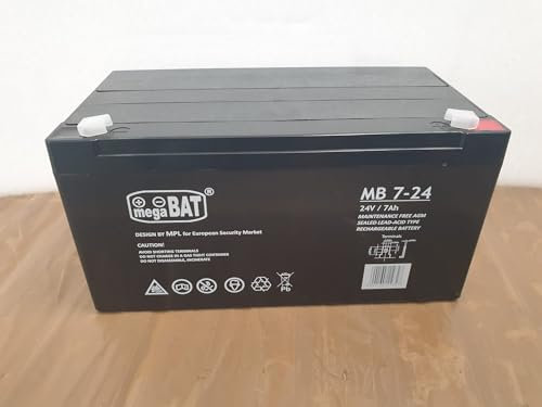 INDALCHESS Batterie 24 V pour voitures électriques pour enfants (7 Ah)