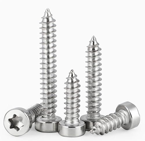 ANGEEK Lot de 50 vis autotaraudeuses M5 x 16 mm en acier inoxydable 304, vis à tête cube, vis Torx M2 M3 M4 M5 M6