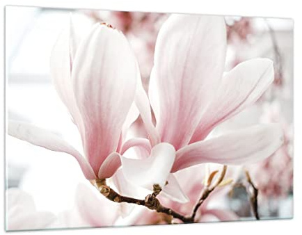 ARTTOR Bilder auf Glas 120x80cm Wandbild Glasdruck Botanik Blumen - 4538