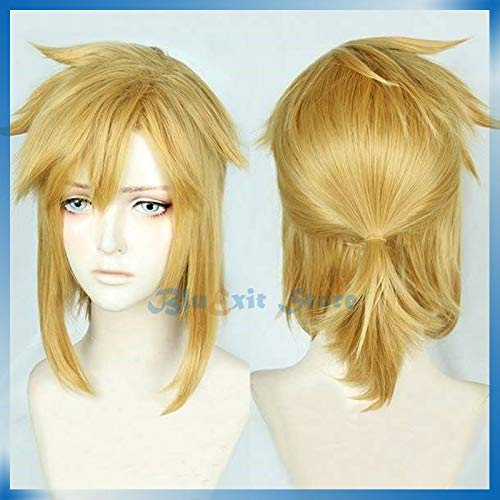 Legende von Zelda Link Goldene Perücke Synthetisches Haar Cosplay Perücke Atem des wilden Cosplay Haares Rollenspiel Synthetisches Haar für Erwachsene