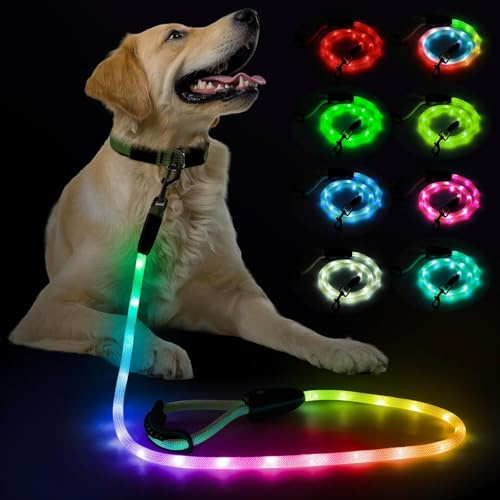 Leuchtende Hundeleine – LED-Hundeleine Typ C wiederaufladbar, 13 Leuchtmodi, im Dunkeln leuchtende Haustierleine für mittelgroße und große Hunde, Sicherheit bei Nacht (RGB, 5 FT)