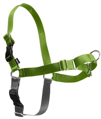 PetSafe Easy Walk Harness for Dogs - Pull-Free Walks - Patented Martingale Loop Design - Front Chest Leash Attachment - Comfort Straps - Breathable Harness Design - Large, Apple Green/Gray