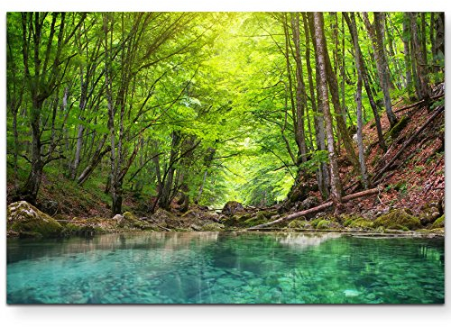 Paul Sinus Art Leinwandbilder | Bilder Leinwand 120x80cm Fluss tief im Wald