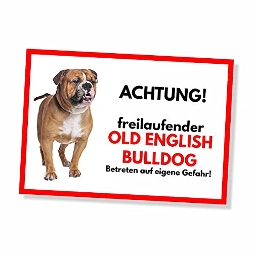 Old English Bulldog Freilaufender Hund Dog Schild Spruch Türschild Hundeschild Warnschild Geschenkidee Sicherheitsschild Hund Privatgrundstück Hundewarnung Warnung vor dem Hund