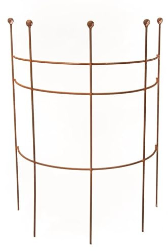 ecosoul Staudenhalter Strauchhalter Staudenstütze Rankgerüst halbrund braun Rost Rankhilfe Metall Eisen Deko 85cm hoch 1 Stück (60cm breit x 85cm hoch)