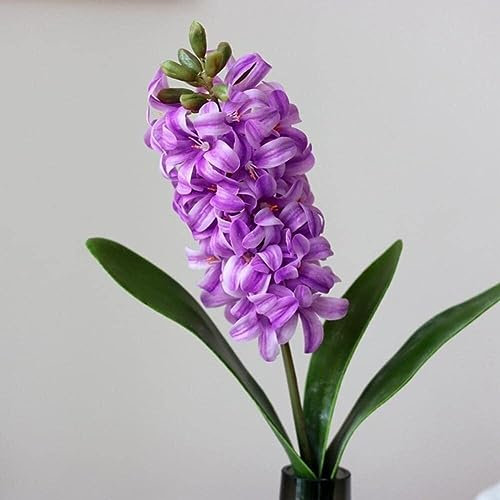 EFARMA Künstliches Grün, künstliche Topfpflanzen, 3D-Hyazinthe, Narzisse, Kunststoff, künstliche Blumen im Topf, DIY-Handwerk, Blumendekoration, Valentinstag (Farbe: Blau) (Color : Purple)