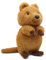 PuffPurrs Cute Quokka Stuffed Animal Plush Toy, Australia Animal Plushie, Cuddly Quokka Doll, 10 inches