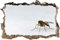Aufkleber 3D böse kleine Mücke Boden Wand Aufkleber Decal abnehmbar Sticker Wohnzimmer Schlafzimmer Kinderzimmer Küche Bad Badzimmer Korridor Esszimmmer 53x80cm