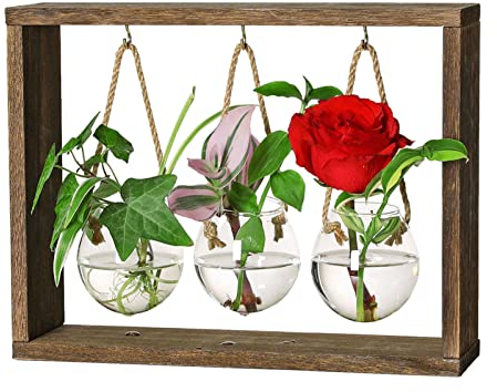 Station de propagation de l'eau, terrarium d'air vintage avec cadre en bois, terrarium créatif avec support en bois, vase à fleurs en tube à essai, pot de fleurs en verre pour culture