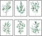 quiodok 6 Stück Grün Pflanzen Wandposter Aesthetic Poster Moderne Poster Set Pictures Aesthetic Room Decor Posters Bilderset 20 * 25cm für Schlafzimmer, Wohnzimmer, Flur (Ohne Rahmen)