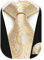 HISDERN Herren Krawatte Taschentuch Paisley Krawatte & Einstecktuch Set Blumen Jacquard Gewebt Schlips Einfarbig
