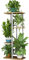 LINZINAR Soporte para plantas de 4 niveles y 5 macetas de interior, múltiples soportes para jardín, esquina, balcón, sala de estar (4 niveles 5 en maceta, blanco)