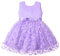 Generisch 2025 - Vestido de noche para bebé niña sin mangas mariposa bordado tul nudo vestido de noche vestido de novia para niños ropa de moda plisada niña, Lila., 12-18 Meses