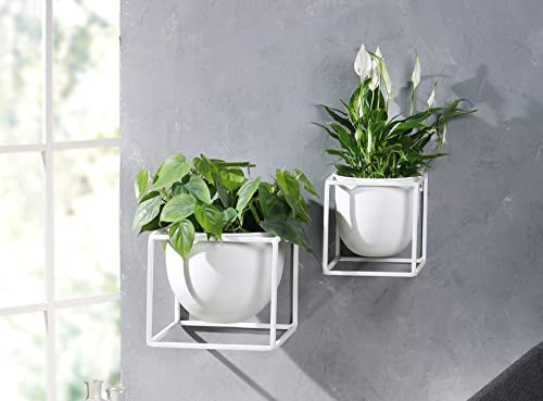 Dekoleidenschaft Wandpflanzer White klein, aus Metall, weiß, Blumentopf inkl. Wandhalterung, Wandblumentopf, Wand-Pflanzgefäß, Blumen-Übertopf wandhängend