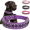 Pimaodog Hundehalsband aus PU-Leder mit Nieten für kleine, mittelgroße und große Hunde, Pitbull, Mastiff, Labrador, Boxer, Rottweiler, Deutscher Schäferhund (Lila, XXL)