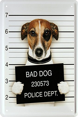 Bad Dog Chien Funny humoristique Décoration 20 X 30 cm plaque de 1475